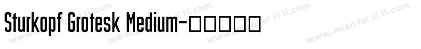 Sturkopf Grotesk Medium字体转换